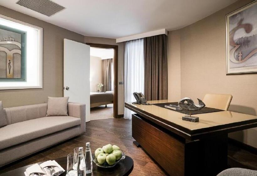 هتل Occidental Ankara