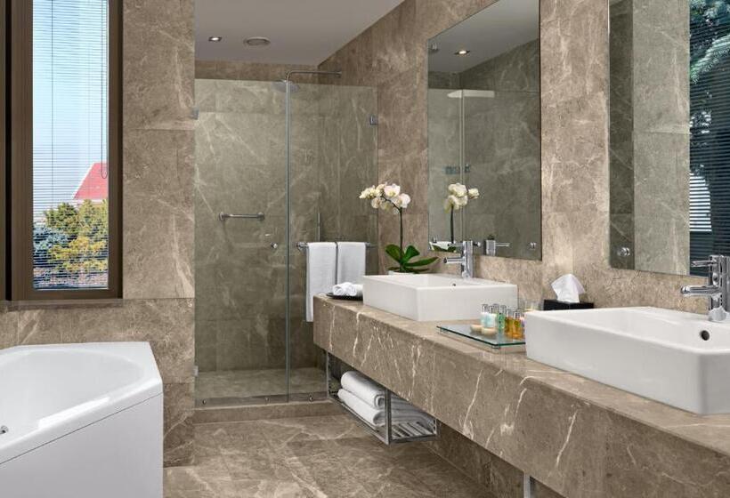 Отель Occidental Ankara