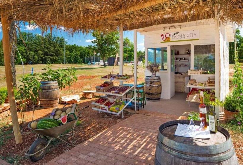 Fotos del hotel Park Umag Campsite:  57