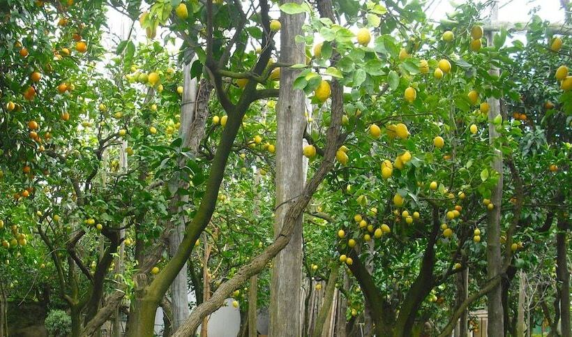 فندق The Secret Garden Relais