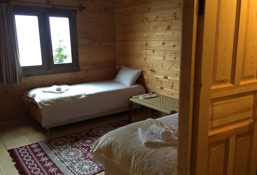 فندق فئة نجمة واحدة Pokut Orion