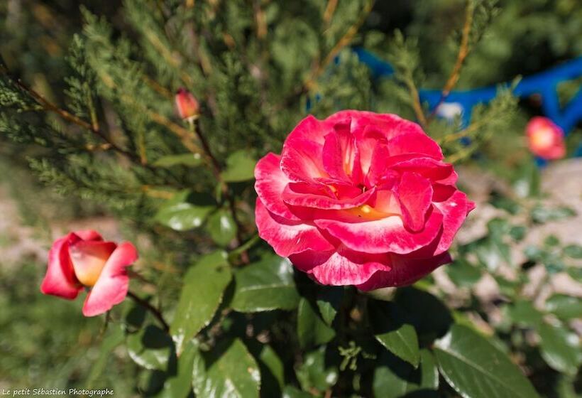 צימר Le Petit Flo