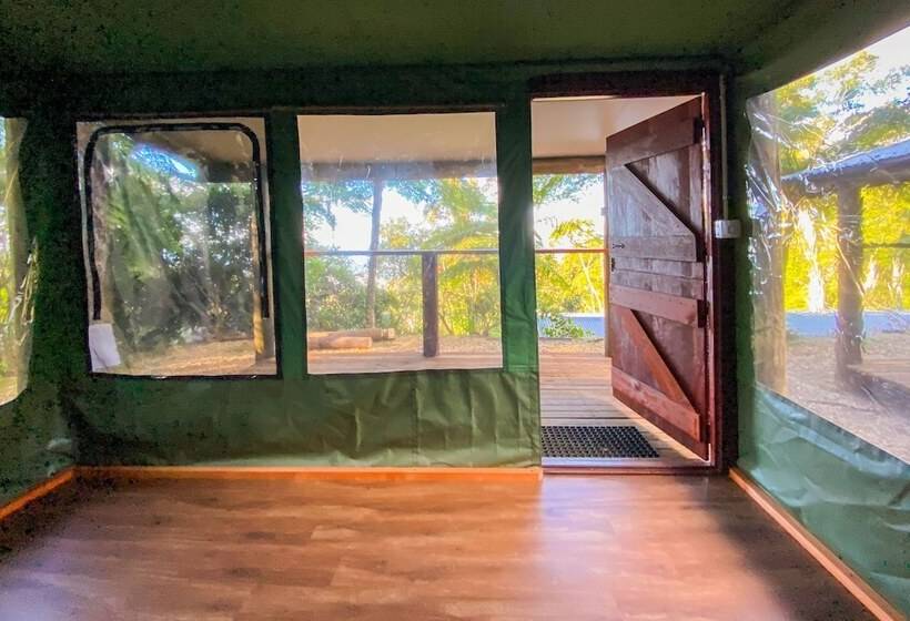 בית מלון כפרי Binna Burra Rainforest Campsite