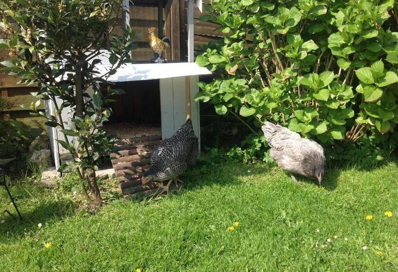Пансион Le Jardin Des Poules