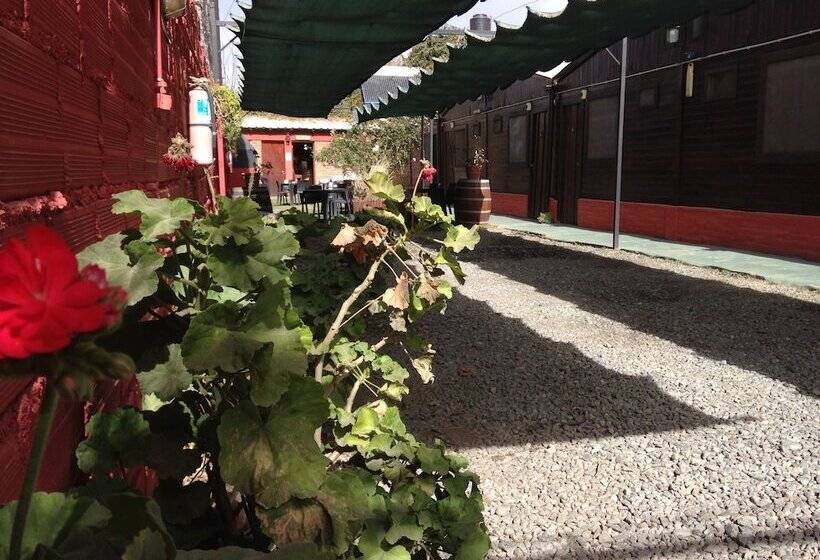 تختخواب و صبحانه Hostal Del Suri