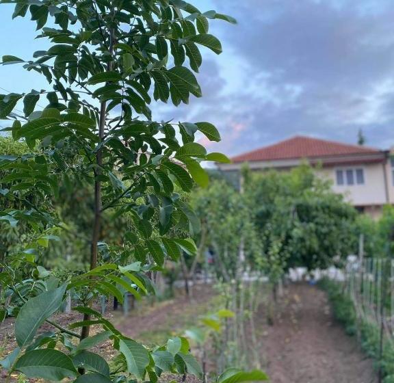 פנסיון Bujtina Gjyshi Ilo