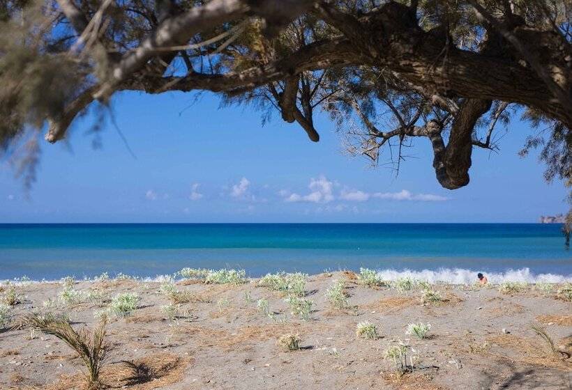هتل Alianthos Garden