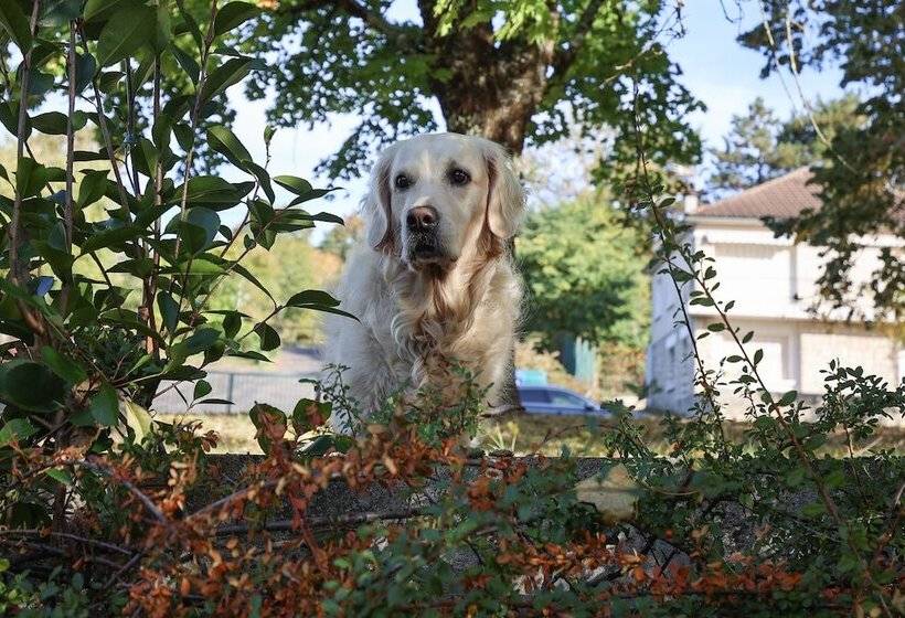 בית מלון כפרי Chateau De Lacan