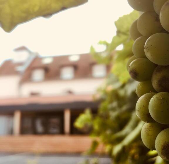 هتل Colmar Vignes Eguisheim
