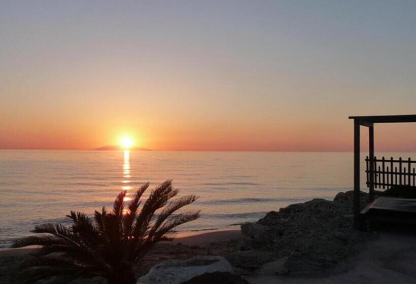 هتل Hôtel Pineto