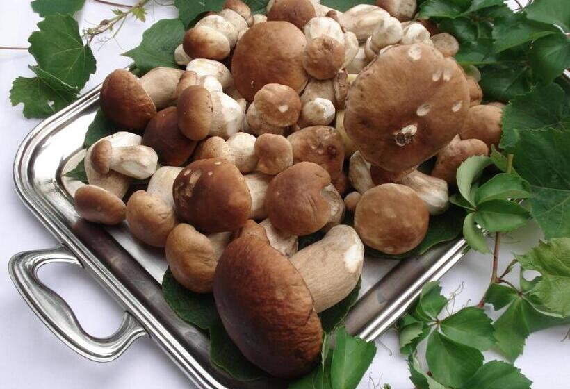 בית מלון כפרי Sassella