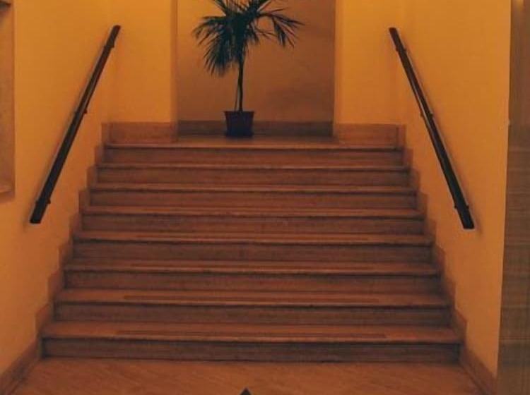 Fotos del hotel Aelius:  33