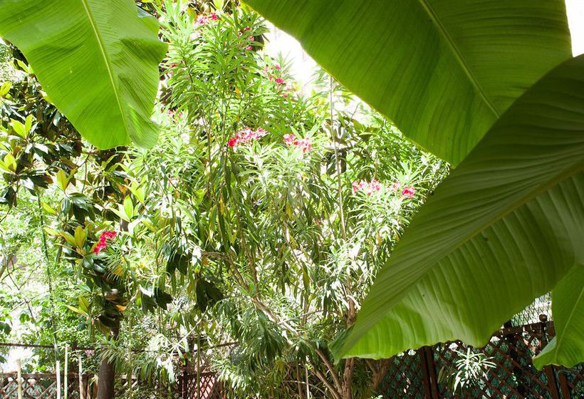 Fotos del hotel Almes Roma B&b:  17