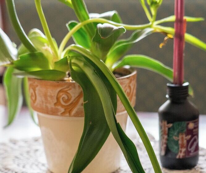 Fotos del hotel Karmel Residence:  28