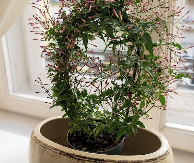 Fotos del hotel Karmel Residence:  11