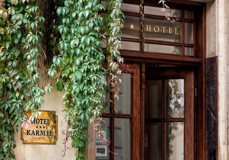 Fotos del hotel Karmel Residence:  15