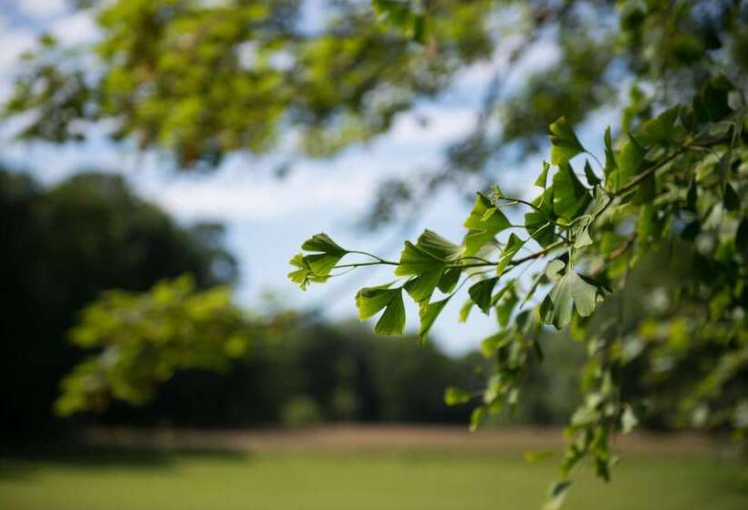 فندق Chateau De Sissi