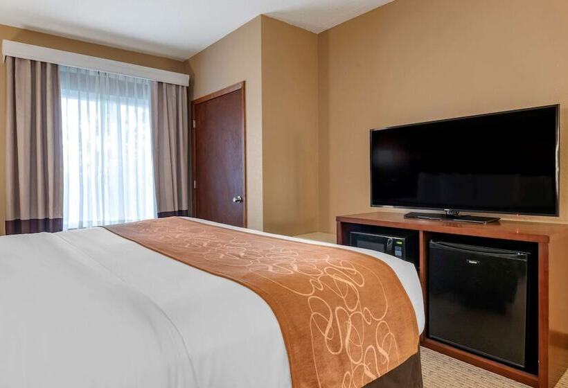 Fotos del hotel Comfort Suites Orlando Airport:  5