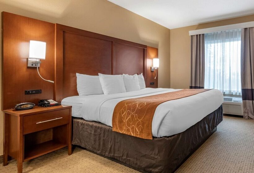 Fotos del hotel Comfort Suites Orlando Airport:  6