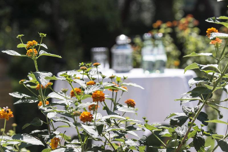 Fotos del hotel Grenzfall:  71