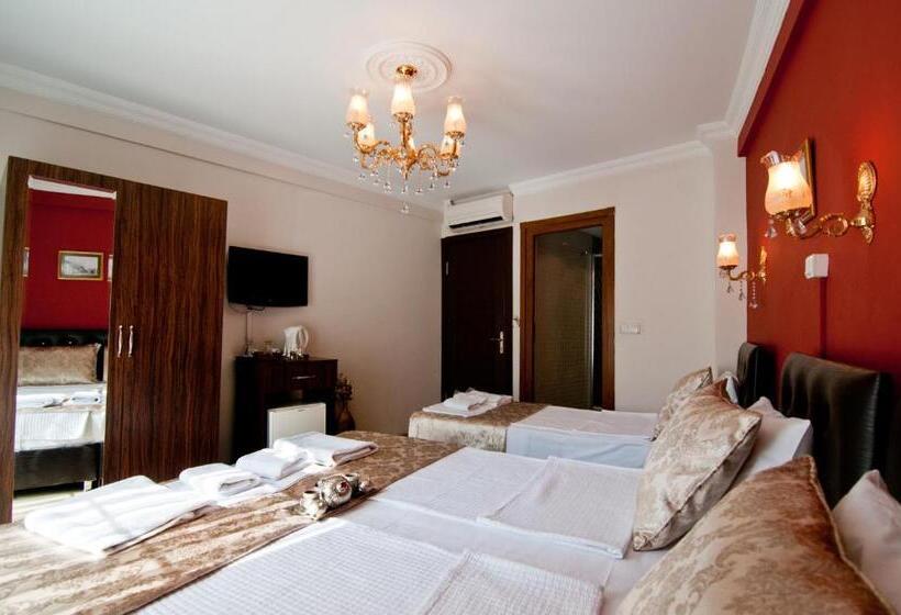 Fotos del hotel Magnificent:  12