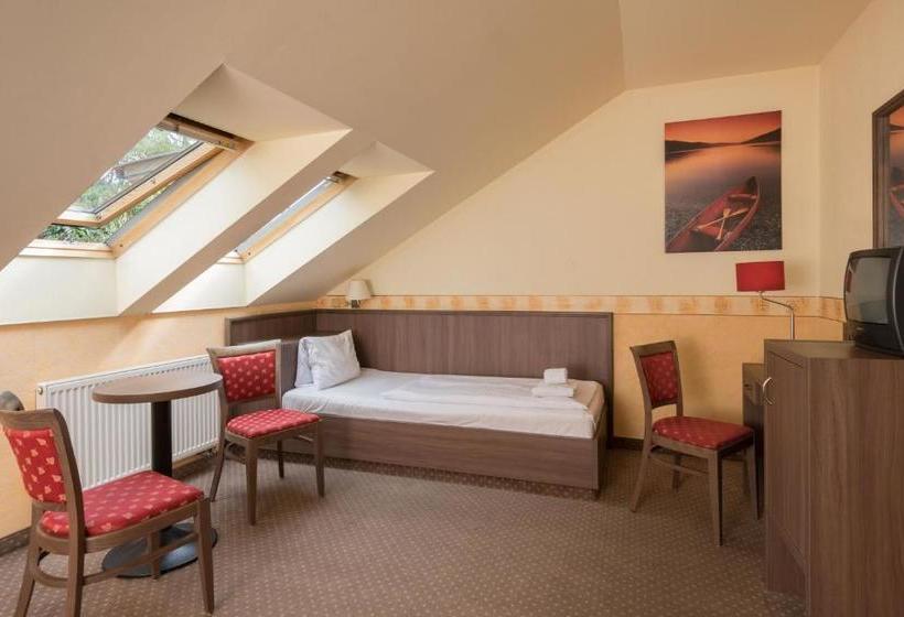 Fotos del hotel Ostruvek:  8