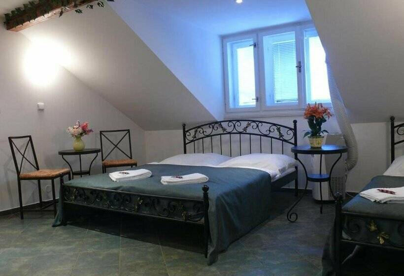 Fotos del hotel Pension Prague City:  92