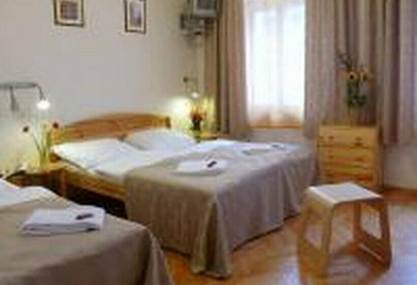 Fotos del hotel Pension Prague City:  97