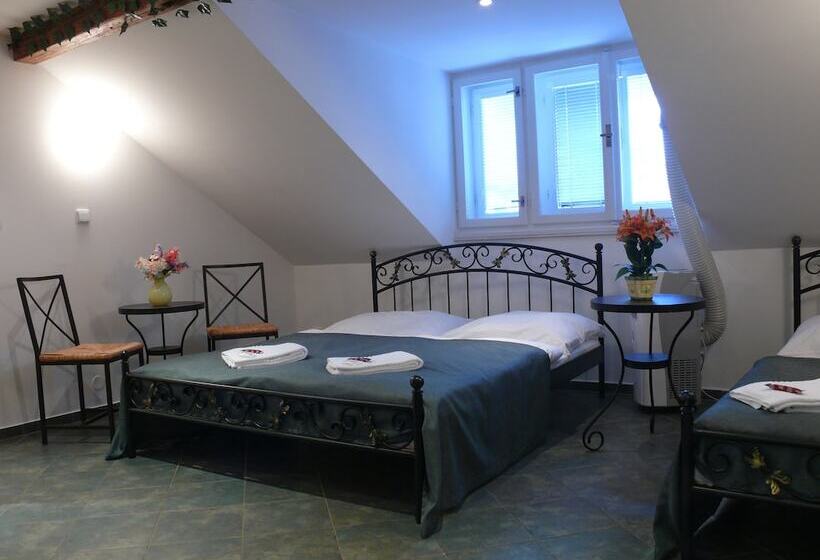 Fotos del hotel Pension Prague City:  5