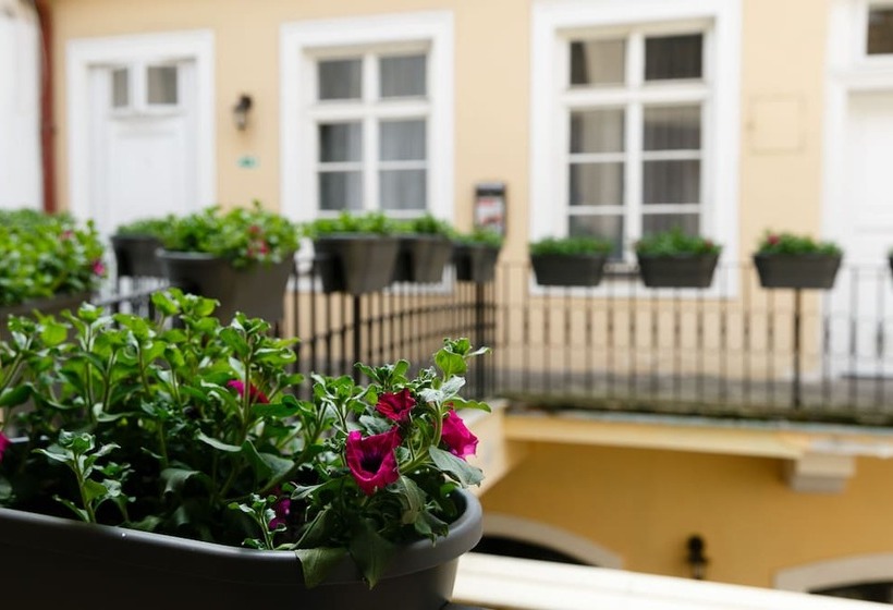 Fotos del hotel Pension U Lilie:  18