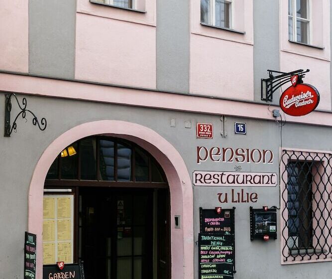 Fotos del hotel Pension U Lilie:  19