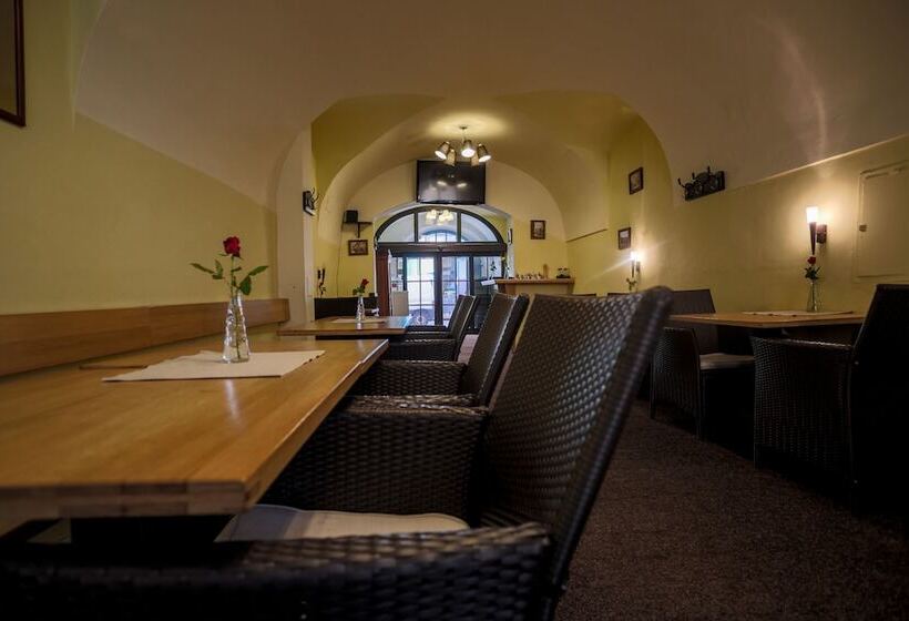 Fotos del hotel Pension U Lilie:  25