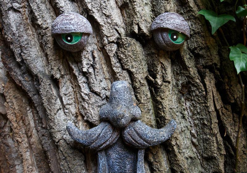 Fotos del hotel Regency House:  12