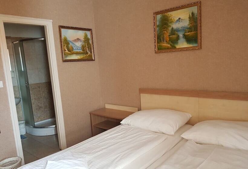 Fotos del hotel Silver Hotel Budapest City Center:  8