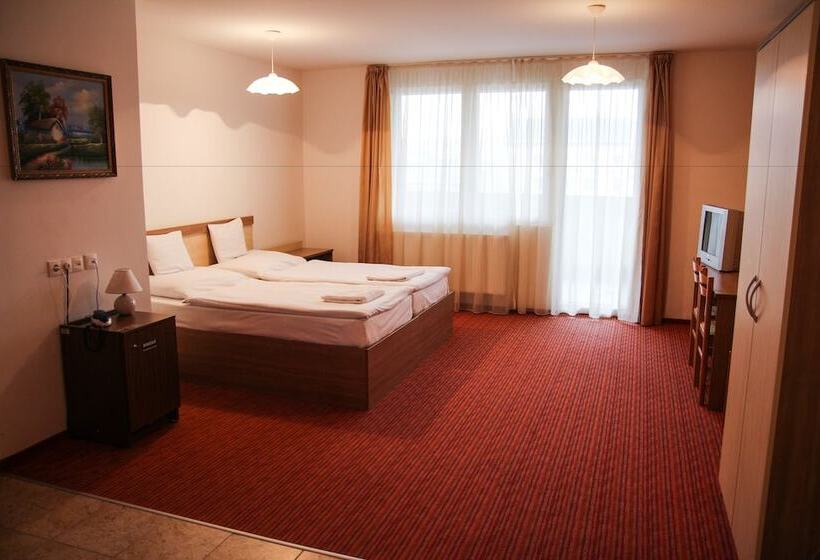 Fotos del hotel Silver Hotel Budapest City Center:  2