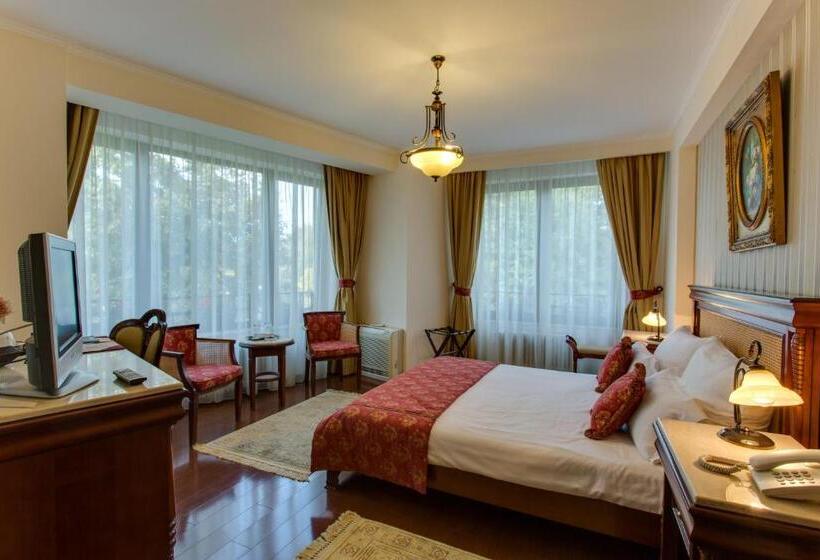 Fotos del hotel Vila Paris:  10