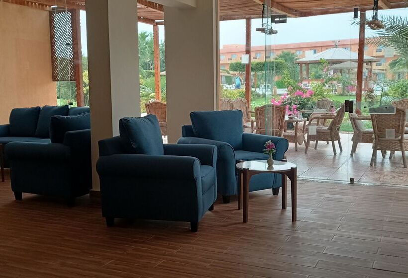 Wadi Lahmy Azur Resort   Soft All Inclusive