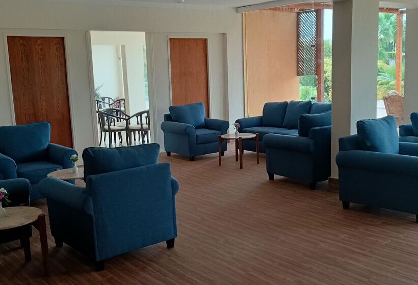 Wadi Lahmy Azur Resort   Soft All Inclusive