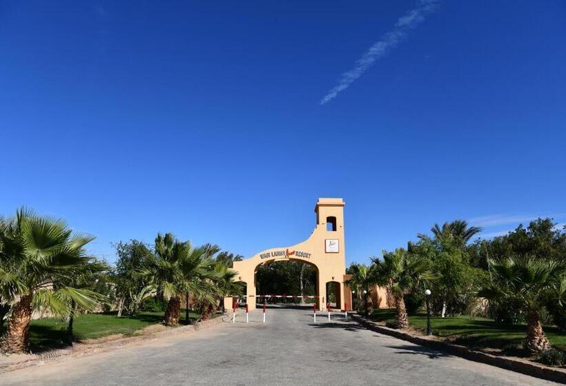 Wadi Lahmy Azur Resort   Soft All Inclusive