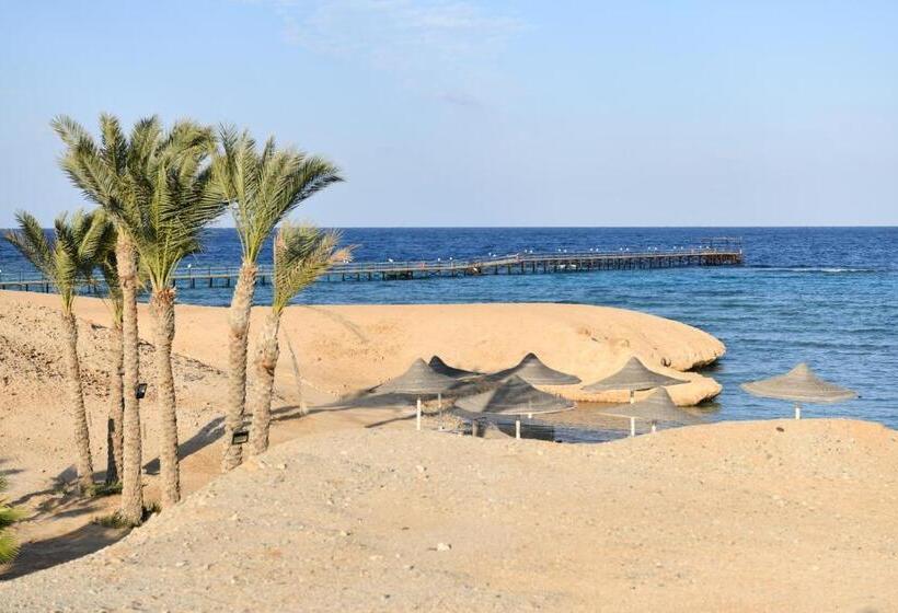 هتل Wadi Lahmy Azur Resort   Soft All Inclusive