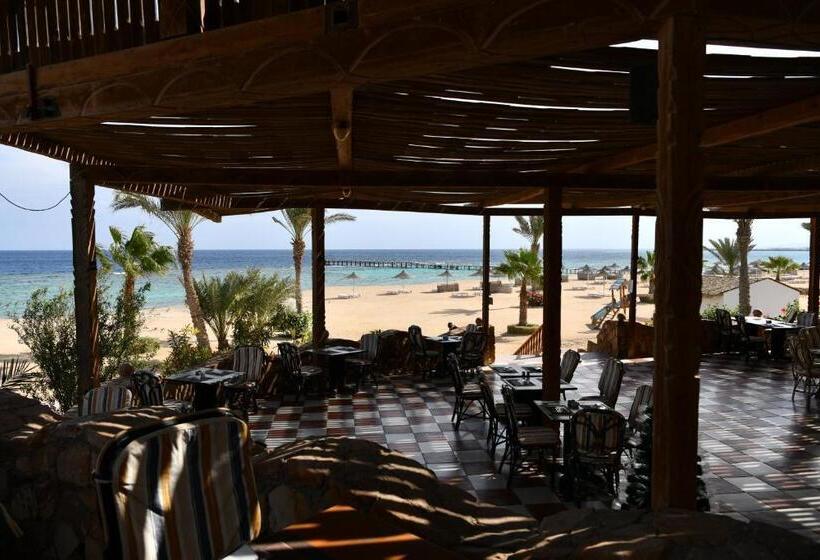 Wadi Lahmy Azur Resort   Soft All Inclusive