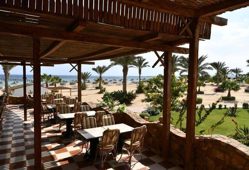 Wadi Lahmy Azur Resort   Soft All Inclusive