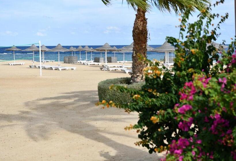 Wadi Lahmy Azur Resort   Soft All Inclusive