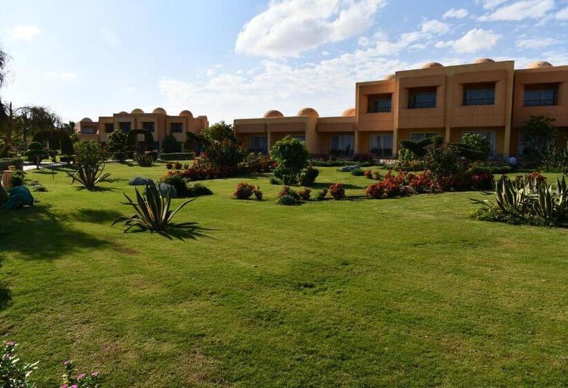Wadi Lahmy Azur Resort   Soft All Inclusive