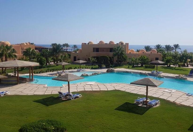 Wadi Lahmy Azur Resort   Soft All Inclusive