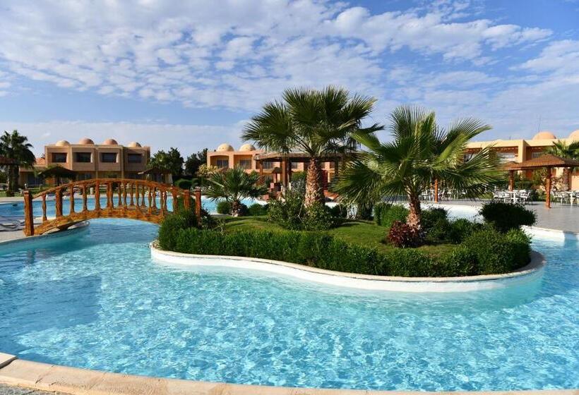 Hotel Wadi Lahmy Azur Resort   Soft All Inclusive