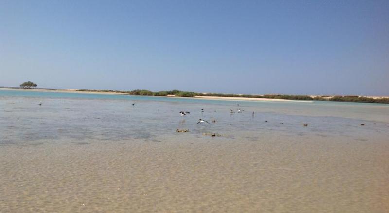 Wadi Lahmy Azur Resort   Soft All Inclusive