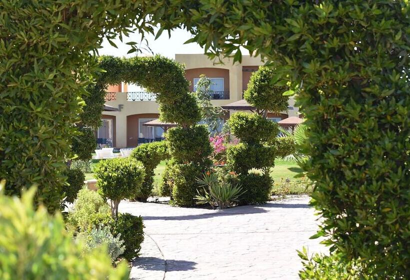 Wadi Lahmy Azur Resort   Soft All Inclusive