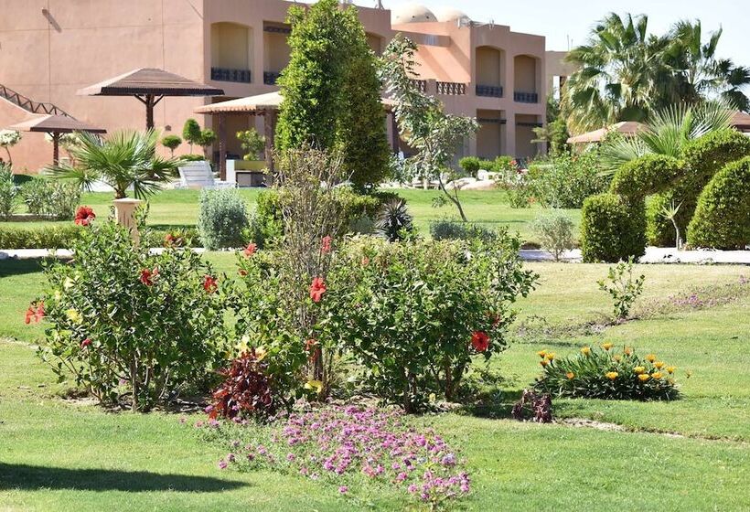 Wadi Lahmy Azur Resort   Soft All Inclusive