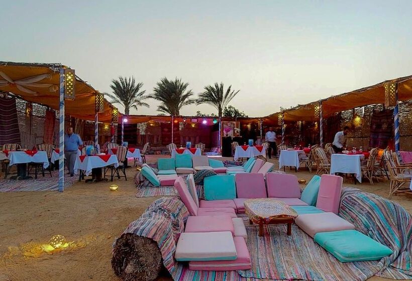 Wadi Lahmy Azur Resort   Soft All Inclusive